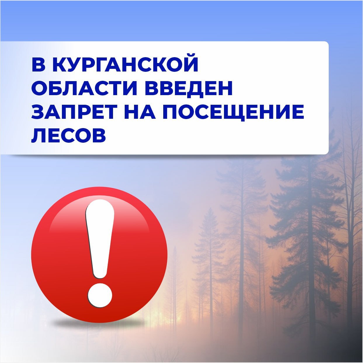 С 12 апреля по 2 мая в Курганской области введен запрет на посещение лесов. Ограничение установлено в рамках особого противопожарного режима, действующего с 11 апреля..
