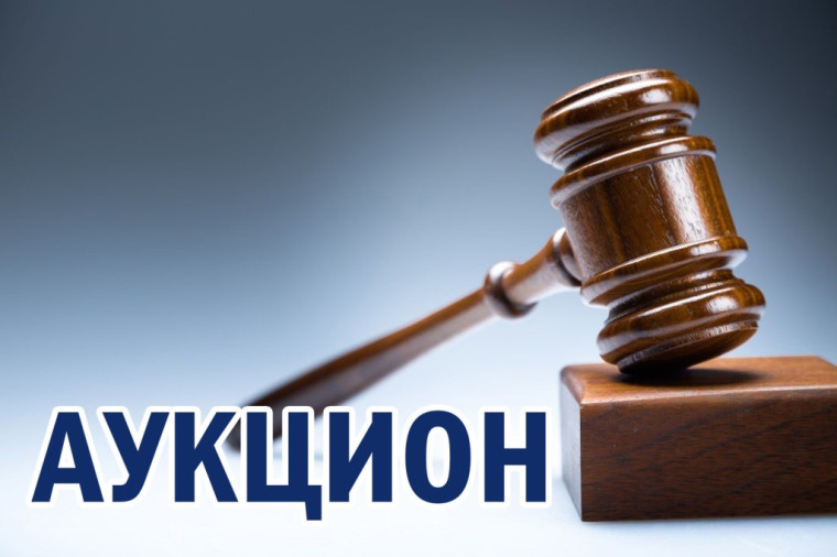 Администрацией округа объявлены аукционы на право заключения договора на размещение нестационарных торговых объектов на территории Лебяжьевского муниципального округа Курганской области..