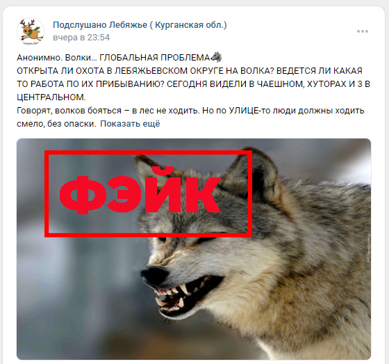 Не доверяйте непроверенной информации в интернете!. Не доверяйте непроверенной информации в интернете!.